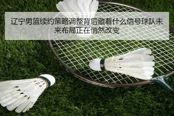 辽宁男篮续约策略调整背后藏着什么信号球队未来布局正在悄然改变 - kaiyun